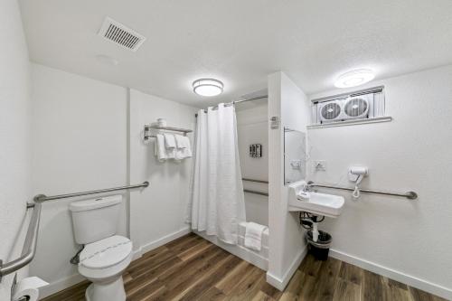 a bathroom with a toilet and a sink at Ambassador Lake Tahoe in South Lake Tahoe