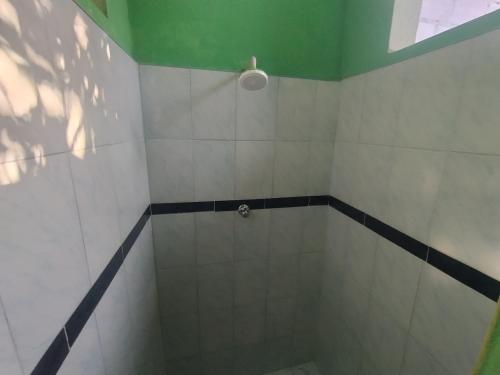 a shower with white tile and a green ceiling at Curuwasi in Moyobamba