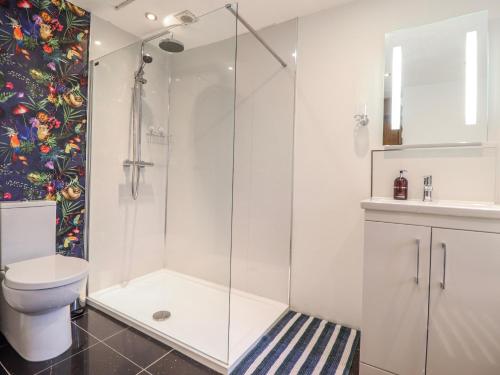 a bathroom with a shower and a toilet at Dovetail Cottage in Llangollen