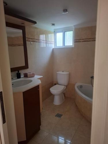 a bathroom with a toilet and a sink and a tub at "Alsos View" in Agrinio