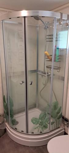 a shower with a glass door with a bird in it at Welcome to Lillstugan in Jämshög