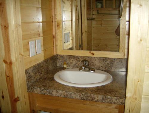 ein Bad mit einem Waschbecken und einem Spiegel in der Unterkunft Lake Minden Camping Resort Cottage 2 in Nicolaus