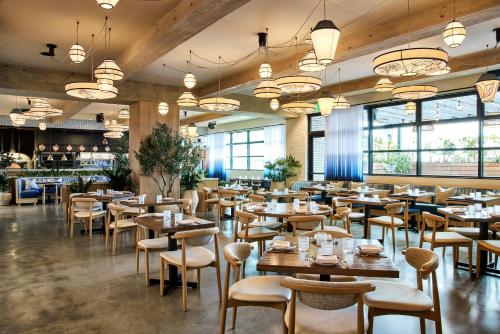 The Shay, a Destination by Hyatt photo 61