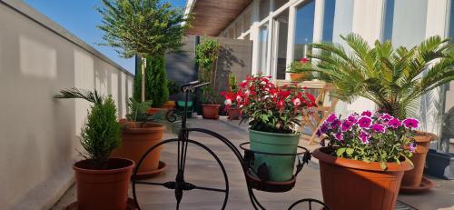 Cozy flat in Famagosta area near the Unipol Forum di Assago