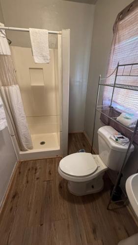 a bathroom with a white toilet and a shower at The Coalinga Motel in Coalinga