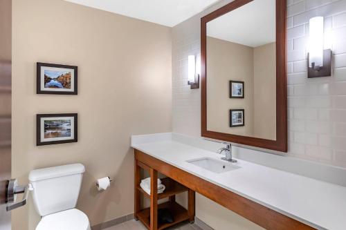 a bathroom with a sink and a toilet and a mirror at Comfort Inn & Suites Clarkston Pine Knob Area in Clarkston
