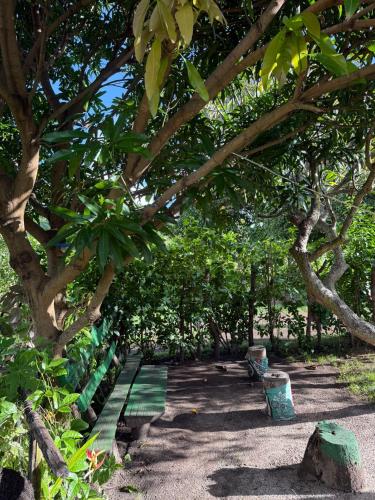 a row of green park benches under trees at Lamkail beach island bungalow in Lénakel