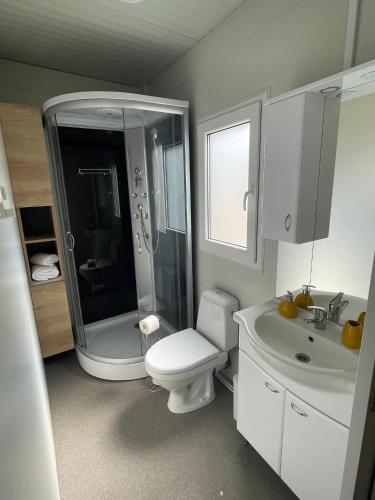 a bathroom with a toilet and a shower and a sink at Mobile Home River in Privlaka