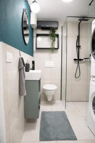 a bathroom with a toilet and a sink and a shower at Apartma Licko in Domžale