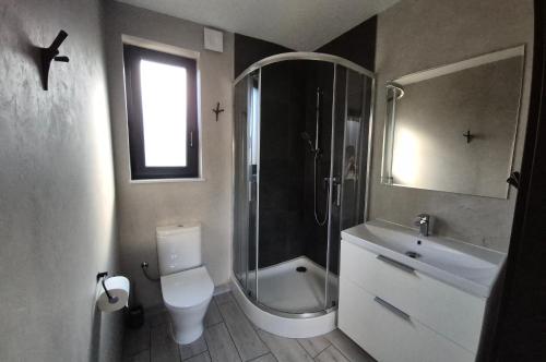 a bathroom with a shower and a toilet and a sink at Domki u Ralfiego in Łuka