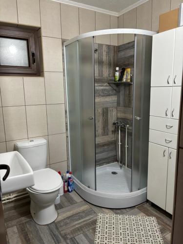 a bathroom with a shower with a toilet and a sink at Vila KTM Lisine in Despotovac