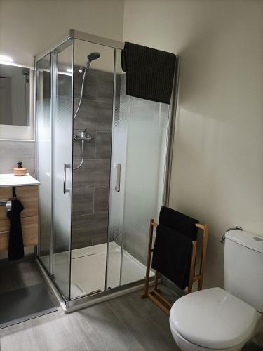 a bathroom with a shower with a toilet and a sink at Maisonnette étape équestre in Nogent-lʼArtaud