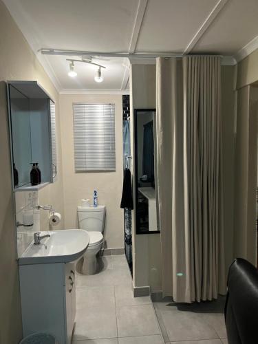 a bathroom with a sink and a toilet at Serenity Self Catering in Windhoek