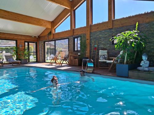 two dogs swimming in a swimming pool in a house at Refuge - Les Chalets du lac Belcaire in La Celle-sous-Gouzon