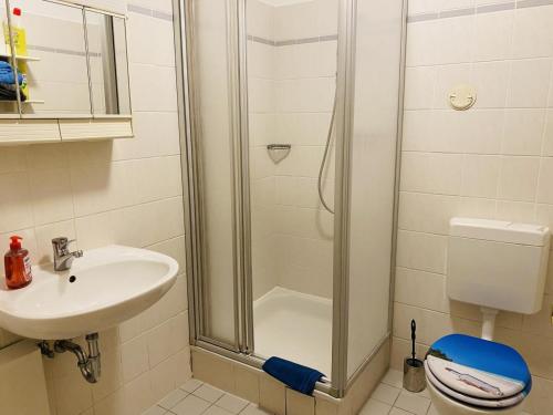 a bathroom with a shower and a sink and a toilet at Landhaus am See App. 2 in Pönitz am See
