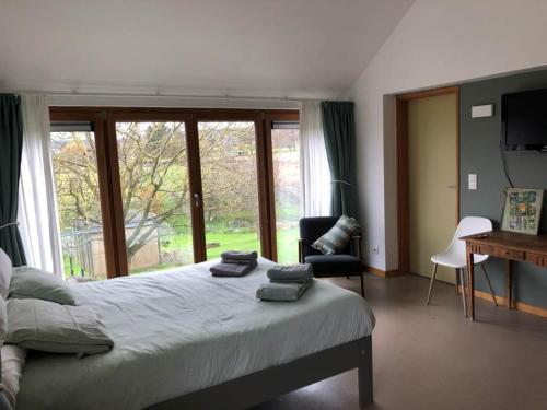 a bedroom with a bed and a large window at Au Grand Babin - Namur in Namur