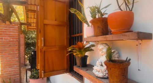 a shelf with plants on it next to a door at GARDEN House in Ban Phru Ching (1)