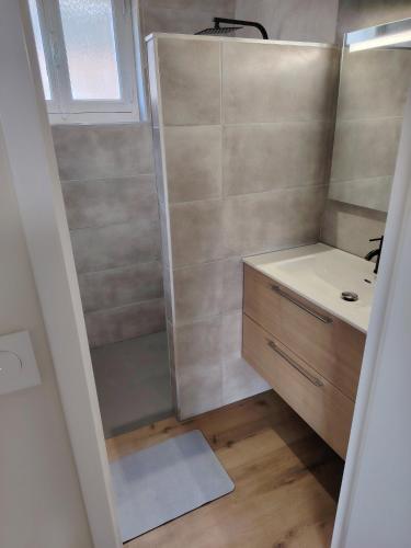 a small bathroom with a shower and a sink at Logement 2 cité de caractère in Mallièvre