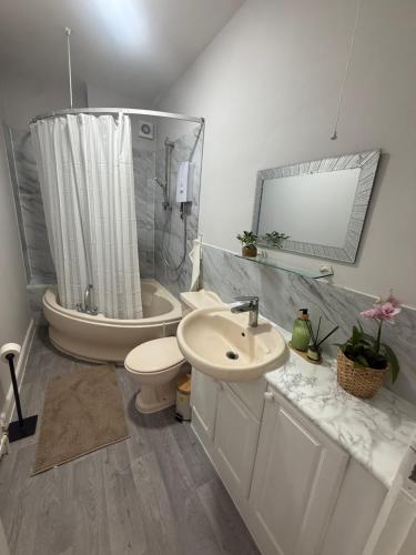 a bathroom with a sink and a toilet and a shower at Elegant Flat in Ealing in Greenford