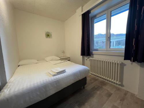 una camera da letto con un letto e una grande finestra di Hotel Abaca a Vevey