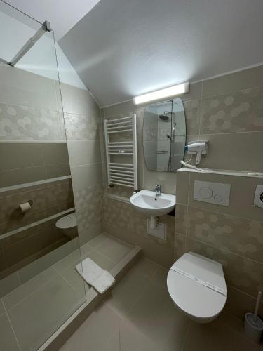 a bathroom with a toilet and a sink and a mirror at Pensiunea Moldova in Piatra Neamţ