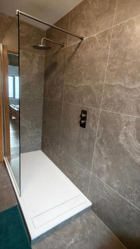 a shower with a glass door in a bathroom at Skellig Bay Cottage in Waterville