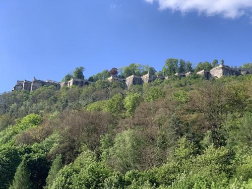 auliculiculiculiculiculiculiculiculiculiculiculiculiculiculic at Statesman Suite in Königstein an der Elbe