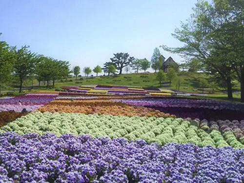 a garden with purple and purple flowers in a field at Pension Kamifuji in Semi