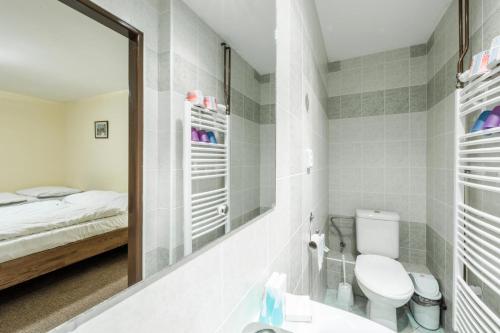 a bathroom with a toilet and a mirror and a bed at Poráč Park in Poráč