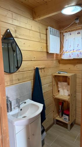 a bathroom with a sink and a mirror at Domki u Wiesi in Giżycko
