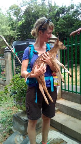 a woman holding a baby deer in her arms at Nilaveli Beach Rooms in Nilaveli