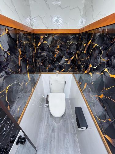 a bathroom with a white toilet in a marble wall at 民泊 みづき 一棟貸し in Ibusuki