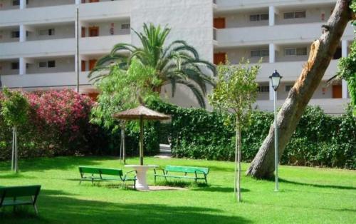 Apartamento en Benidorm con piscina