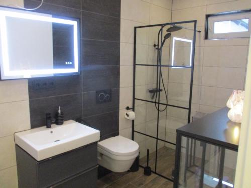 a bathroom with a toilet and a sink and a shower at Parsberger Ferienhaus 23 a in Parsberg