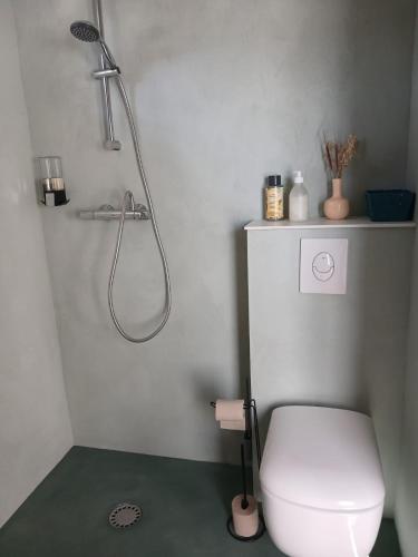 a white bathroom with a shower and a toilet at Studio aux portes de Parthenay in Châtillon-sur-Thouet