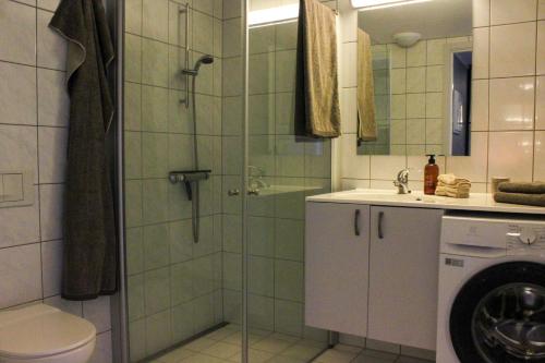a bathroom with a shower with a toilet and a sink at Stølstunets sentrumsglimt in Beitostøl