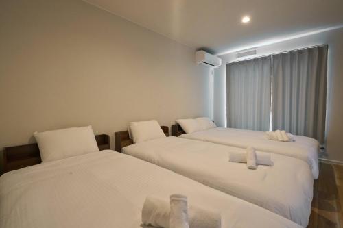Flex Cella North31