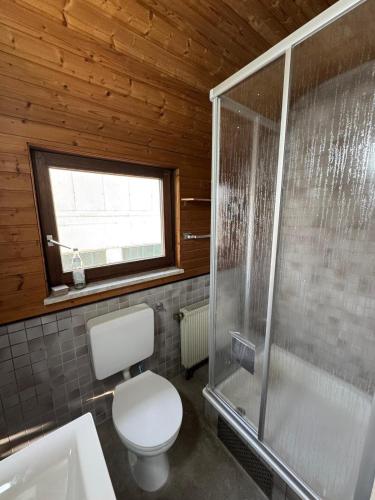 a bathroom with a toilet and a shower at Härtsfeldwohnungen in Neresheim