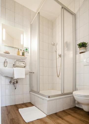 a bathroom with a shower and a toilet at REGIOHOTEL Wolmirstedter Hof in Wolmirstedt
