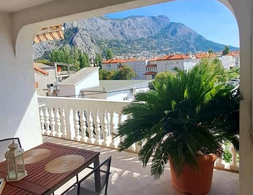Apartmani ANITA