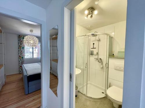 a bathroom with a shower and a toilet and a sink at Hilla's Traumhaus in der Eifel in Schleiden