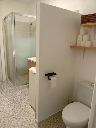 a bathroom with a toilet and a shower at Appartement en Corrèze in Le Lonzac