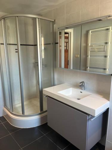 a bathroom with a sink and a shower at Hébergement proche de Atomium Expo Serres Royales in Grimbergen