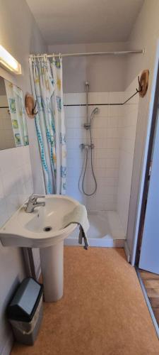 a bathroom with a sink and a shower at chambre dhote condat sur ganaveix in Condat-sur-Ganaveix