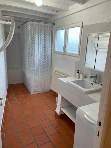 a bathroom with a sink and a shower and a toilet at Plena Naturaleza in Margouët-Meymès