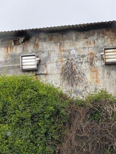 Apartamento Dungos