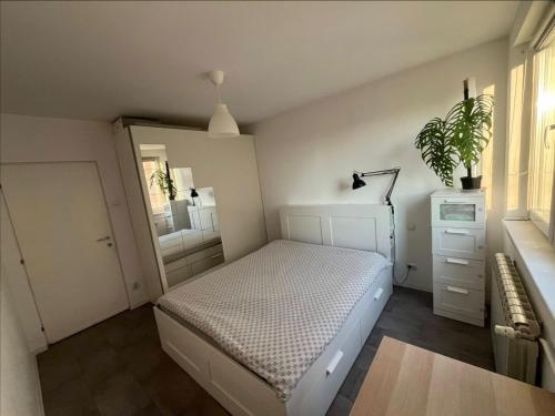 Apartamento Dungos