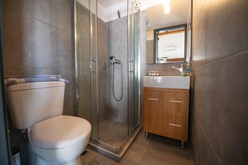 a bathroom with a shower and a toilet and a sink at Aegean Dream in Klíma