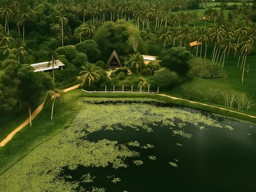 an aerial view of a pool of water with palm trees at Lake View Cabana near Tangalle in Tangalle