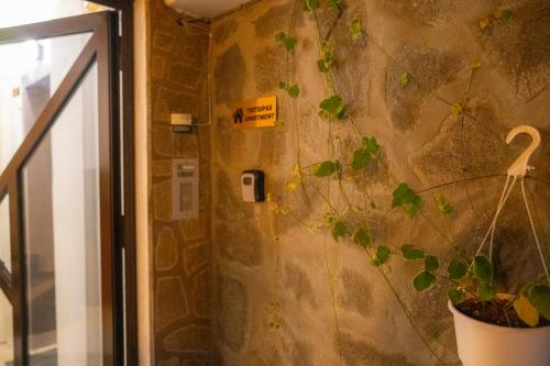 a wall with a plant in a pot next to a door at Tsitsipas Apartment in Alexandroupoli
